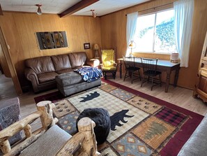 TV, fireplace, DVD player, books