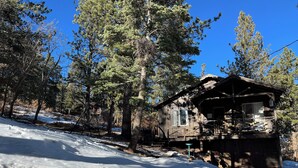 A cabin surrounded by tall pine trees with a snow-covered ground.