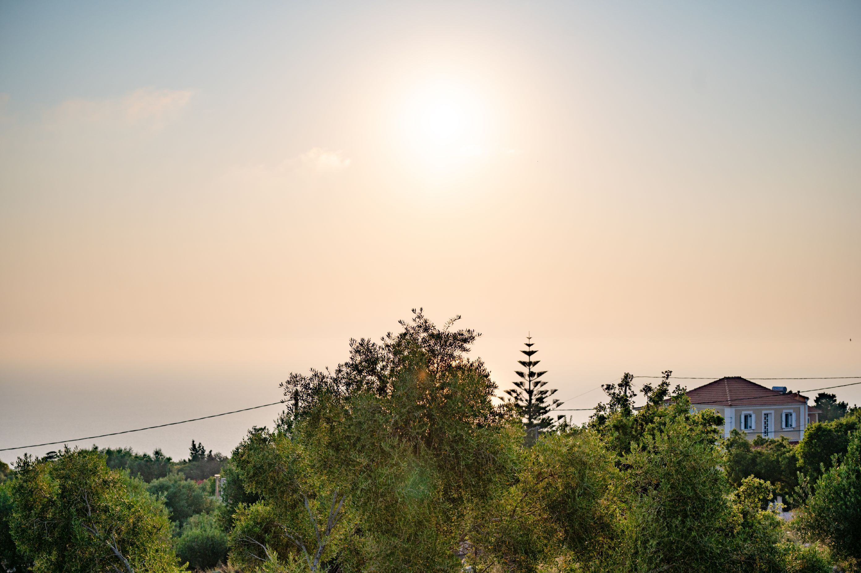منوع