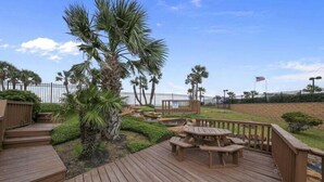 Une terrasse en bois avec des tables de pique-nique et un palmier.