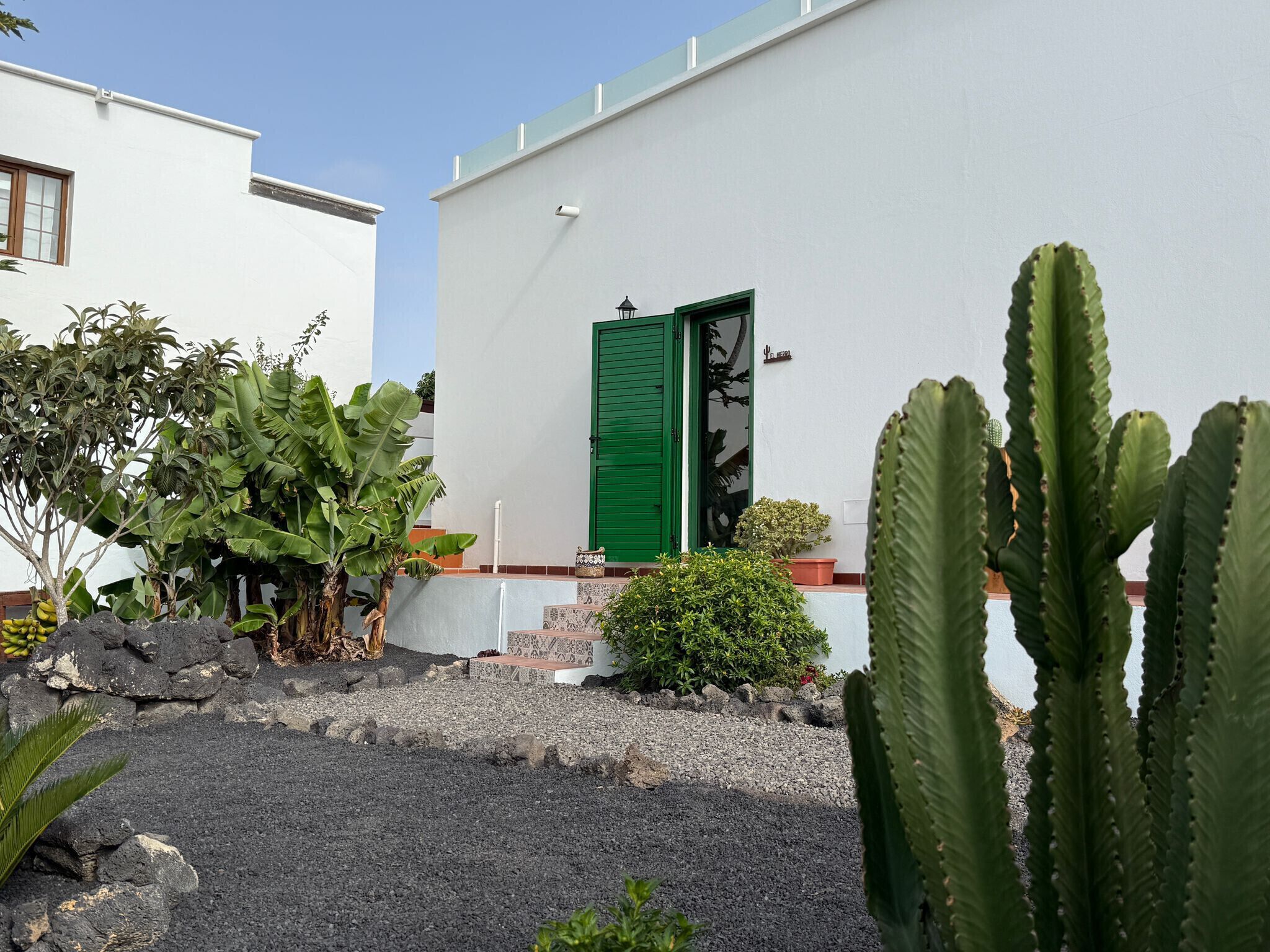 Un bâtiment blanc avec une porte verte, entouré de différentes plantes, notamment un bananier et des cactus.