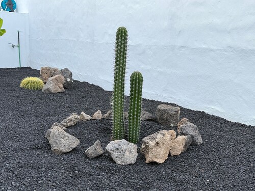 NoPasaNada: apartmento privado el Hierro, vistas al jardín