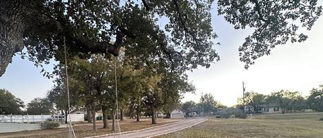 Un parc avec un foyer, des bancs et une balançoire, le tout installé sous un grand arbre.