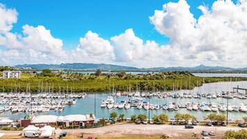 A marina with numerous boats docked, surrounded by greenery and a clear sky.