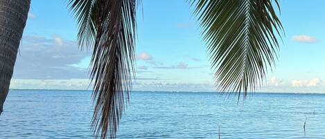 在海灘附近、躺椅、沙灘巾