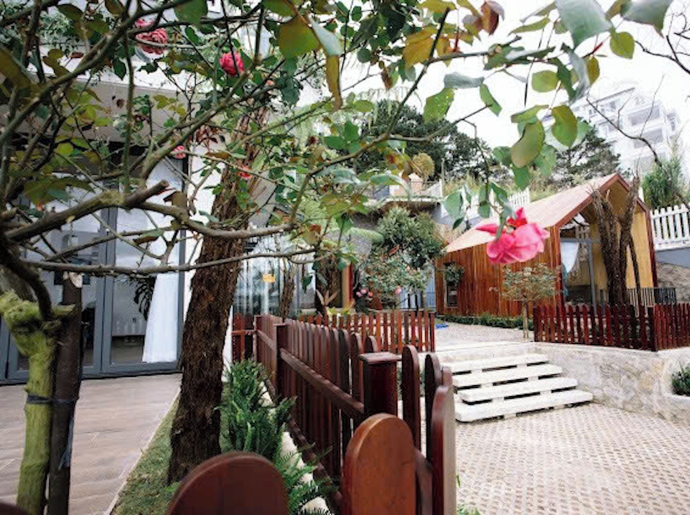 A courtyard with a wooden fence, a small wooden structure, and a tree with pink flowers.