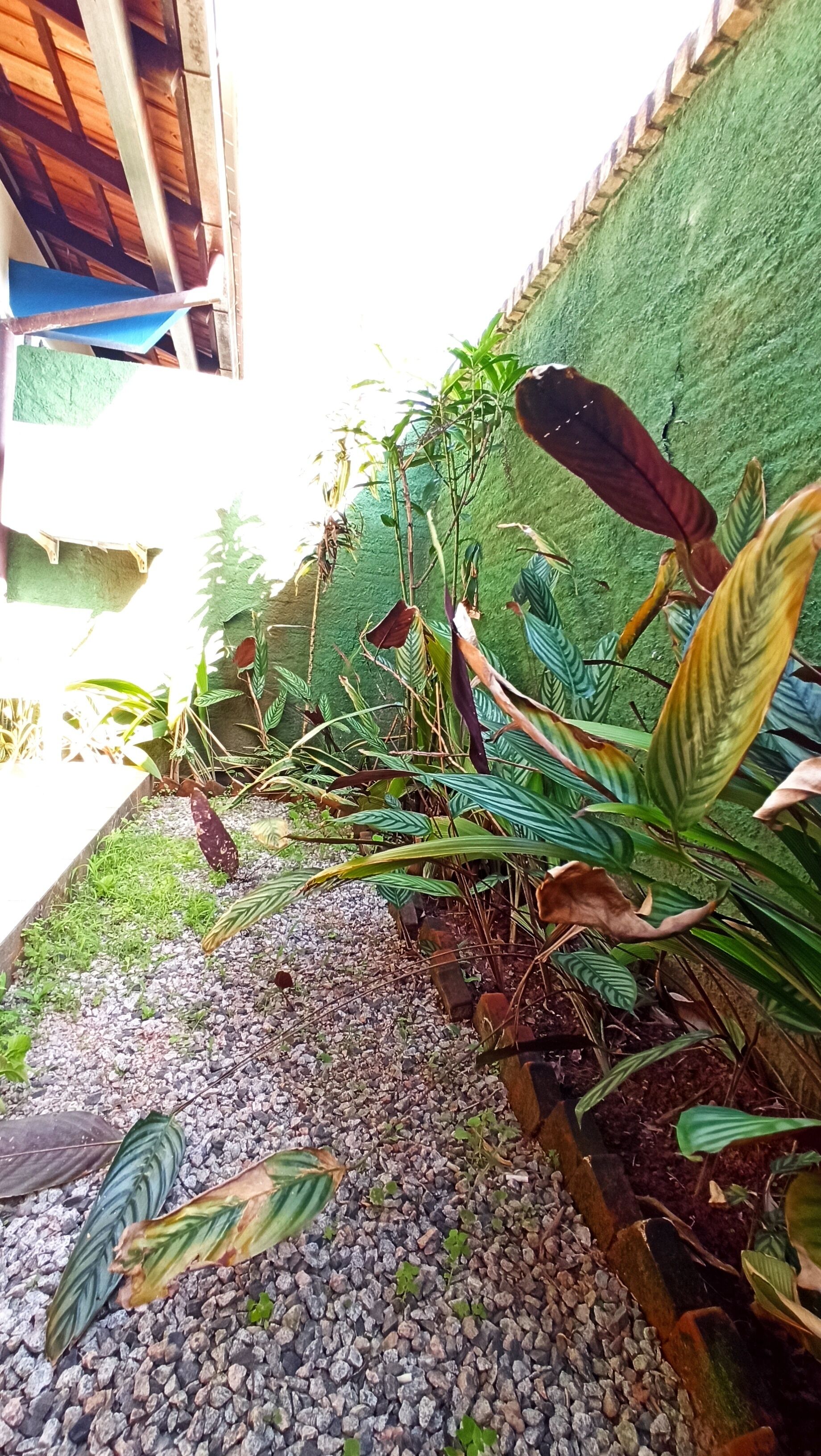 Foto - Pousada Natur Campeche