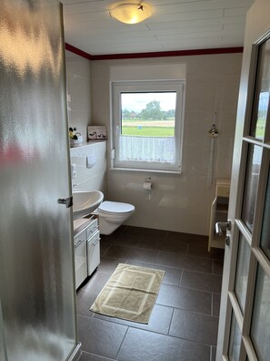 Shower, hair dryer, towels