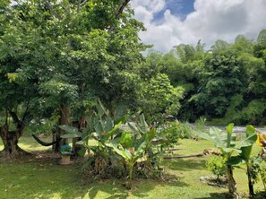 Terrain de l’hébergement 