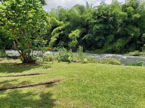 Un río rodeado de exuberante vegetación y árboles.