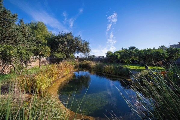 Property grounds - Villa Agrumeta - Private Natural Bio Lake, Lecce, Italy (Lecce)