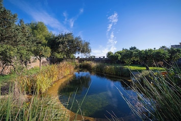 Private natural bio pool to swim in