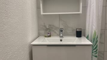 Shower, hair dryer, toilet paper