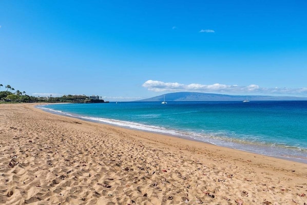 Chaises longues, serviettes de plage