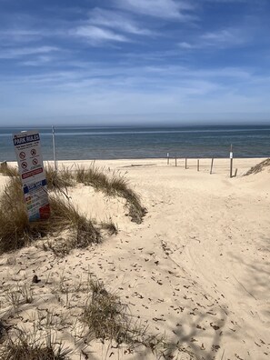 Beach nearby - The Avery 12 on North Shore (South Haven)