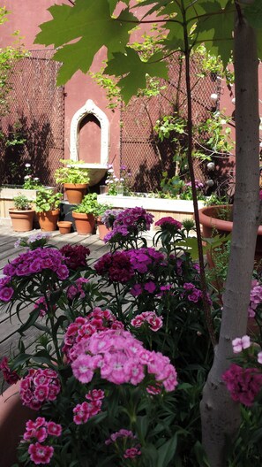 Ein Innenhof mit Blumentöpfen und Blumen, einem Zaun aus Maschendraht und einem Gebäude mit roter Wand und einem Rundbogenfenster.