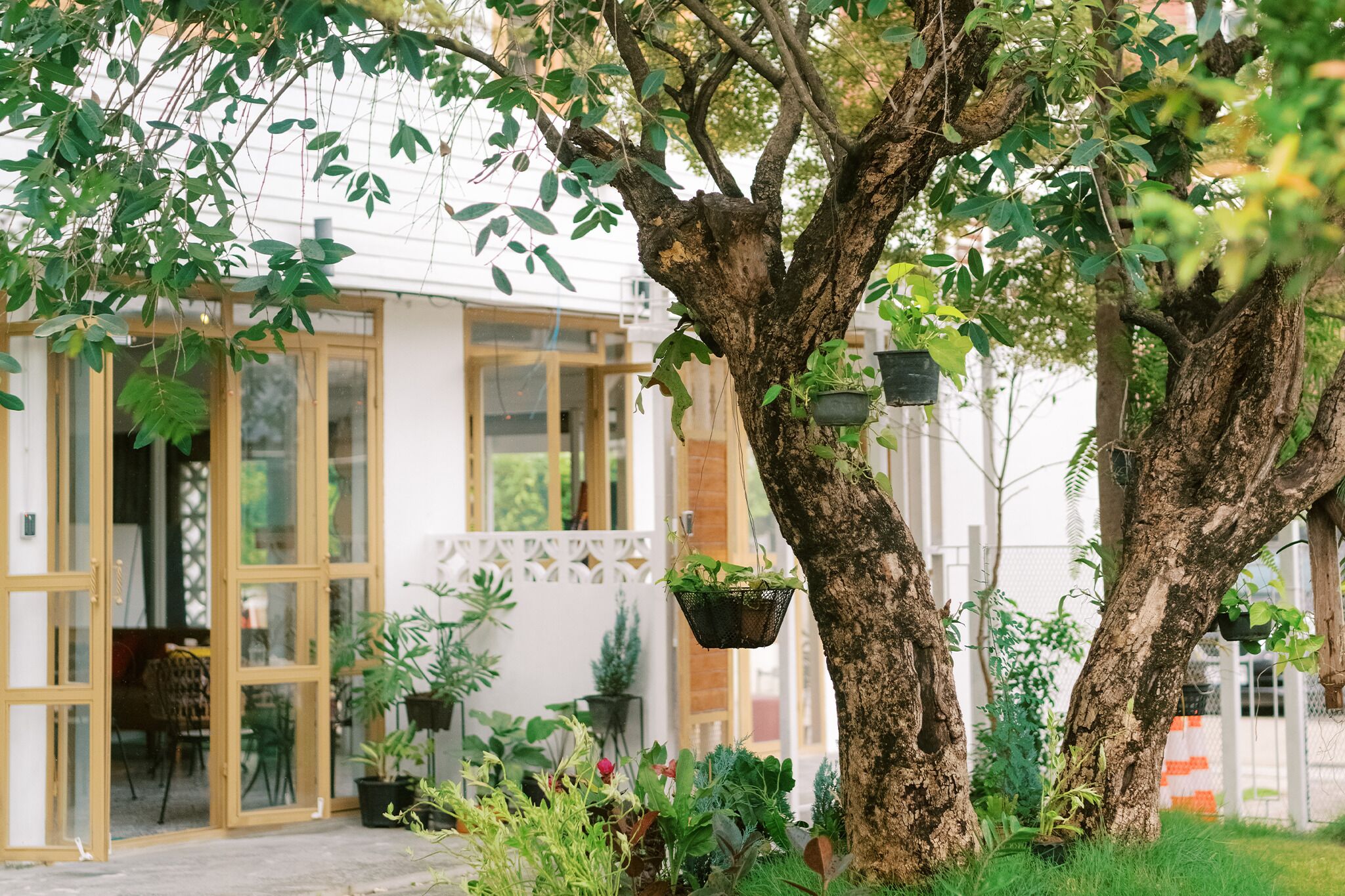 บริเวณภายนอก