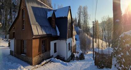 Citycentre Villa in Bohemia