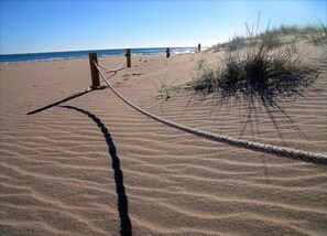 บ้านพัก | วิวจากที่พัก