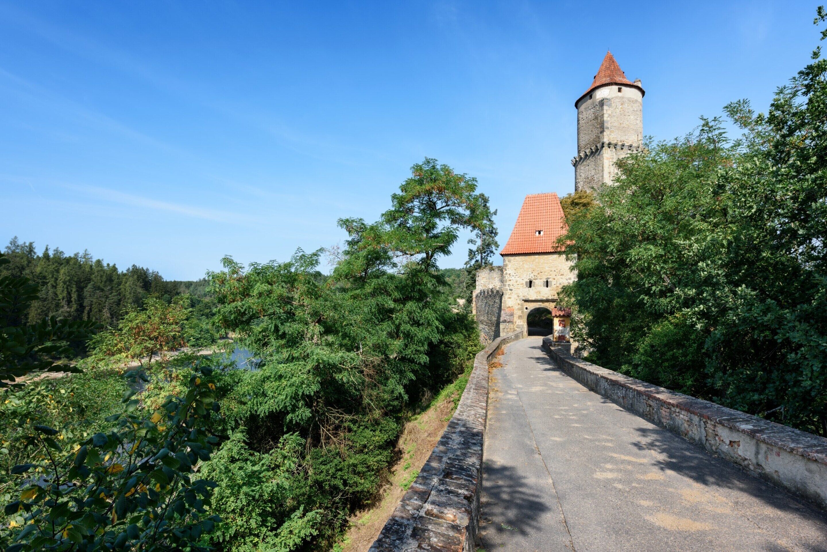 A castle with a tower and a paved pathway leading to a gate.