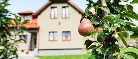 Villa | Terrain de lâhĂ©bergement