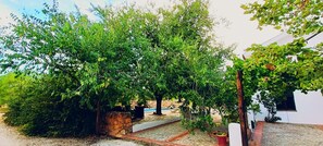 Parco della struttura