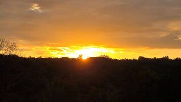 A sunset over a forested landscape.