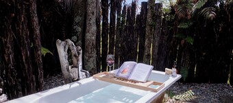 Spacious home in Okarito Brown Kiwi sanctuary, 15min drive to Glacier & Beach