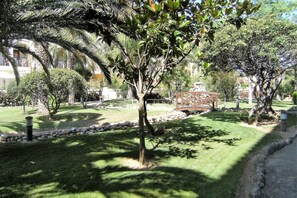 Apartment | Garden
