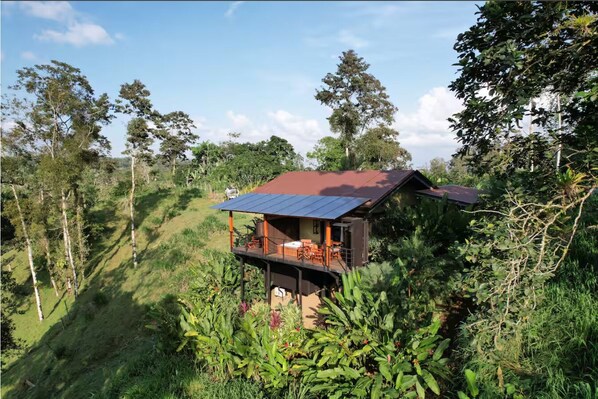 A two-story house with a red roof, surrounded by lush greenery and trees.