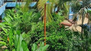 Property grounds - Marina Loft Studio # 224 (Coco)