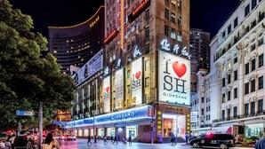 City view from property - Shanghai Moxi Home stay Yu  Garden (Shanghai)