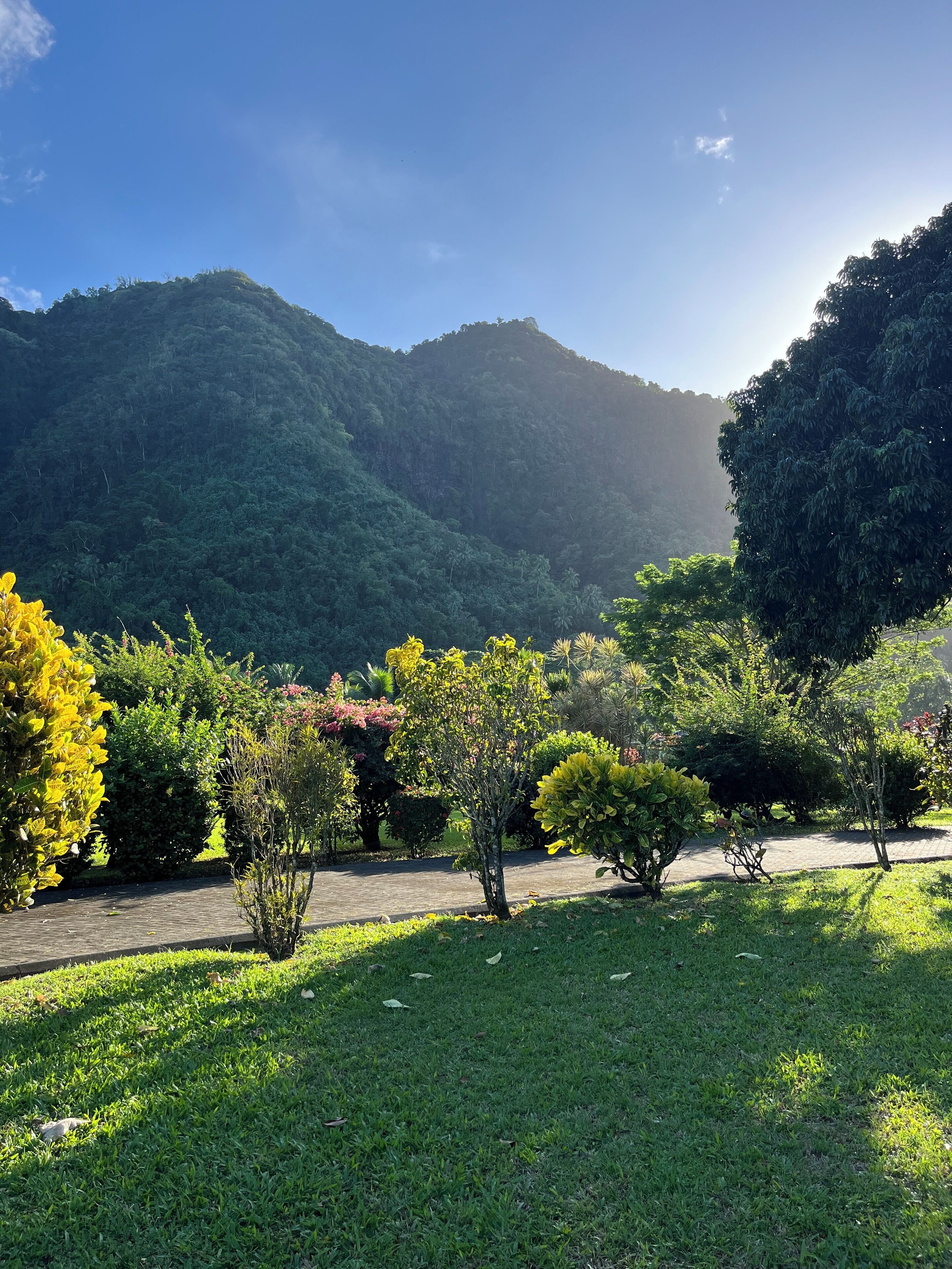 Parco della struttura