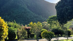 A lush garden with a variety of trees and shrubs, a paved walkway, and a backdrop of green hills under a clear sky. - Paparadise, a haven of peace in the heart of Papara on the island of Tahiti. (Paparā)