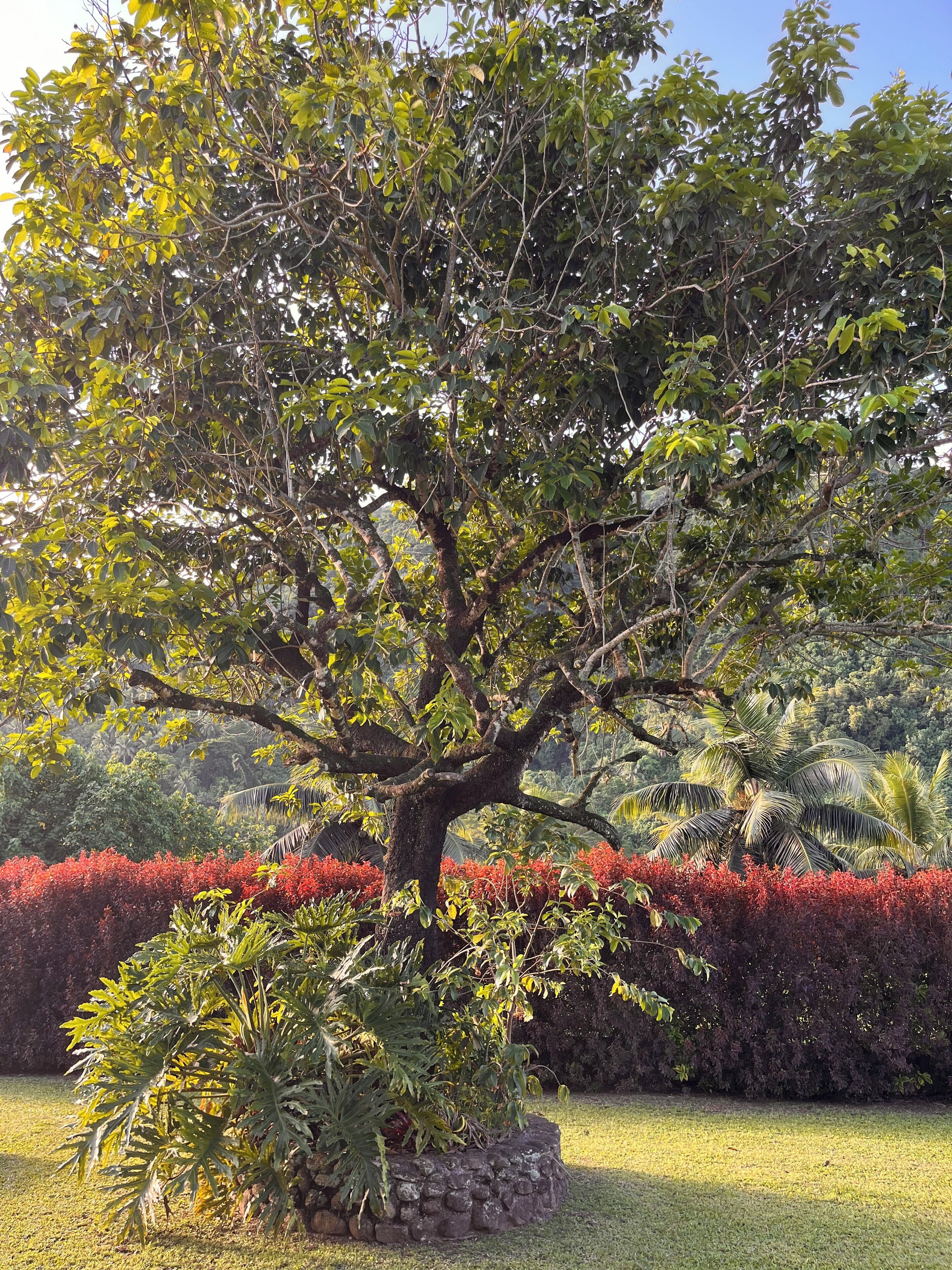 Overnatningsstedets område