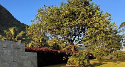 Paparadise, a haven of peace in the heart of Papara on the island of Tahiti.