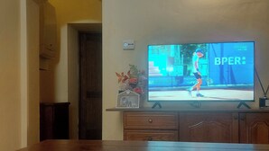 Televisor de pantalla plana montado en una pared, con un mueble de madera debajo.