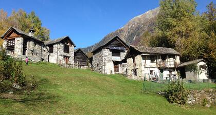 Renovated old cottage, surrounded by alpine nature