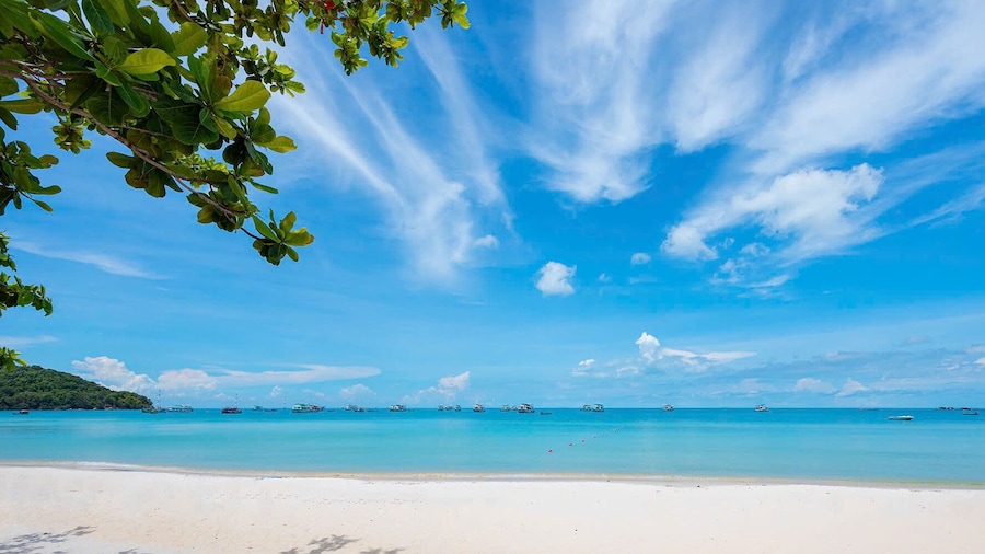 Luna Sol - Sunset & Firework Signature