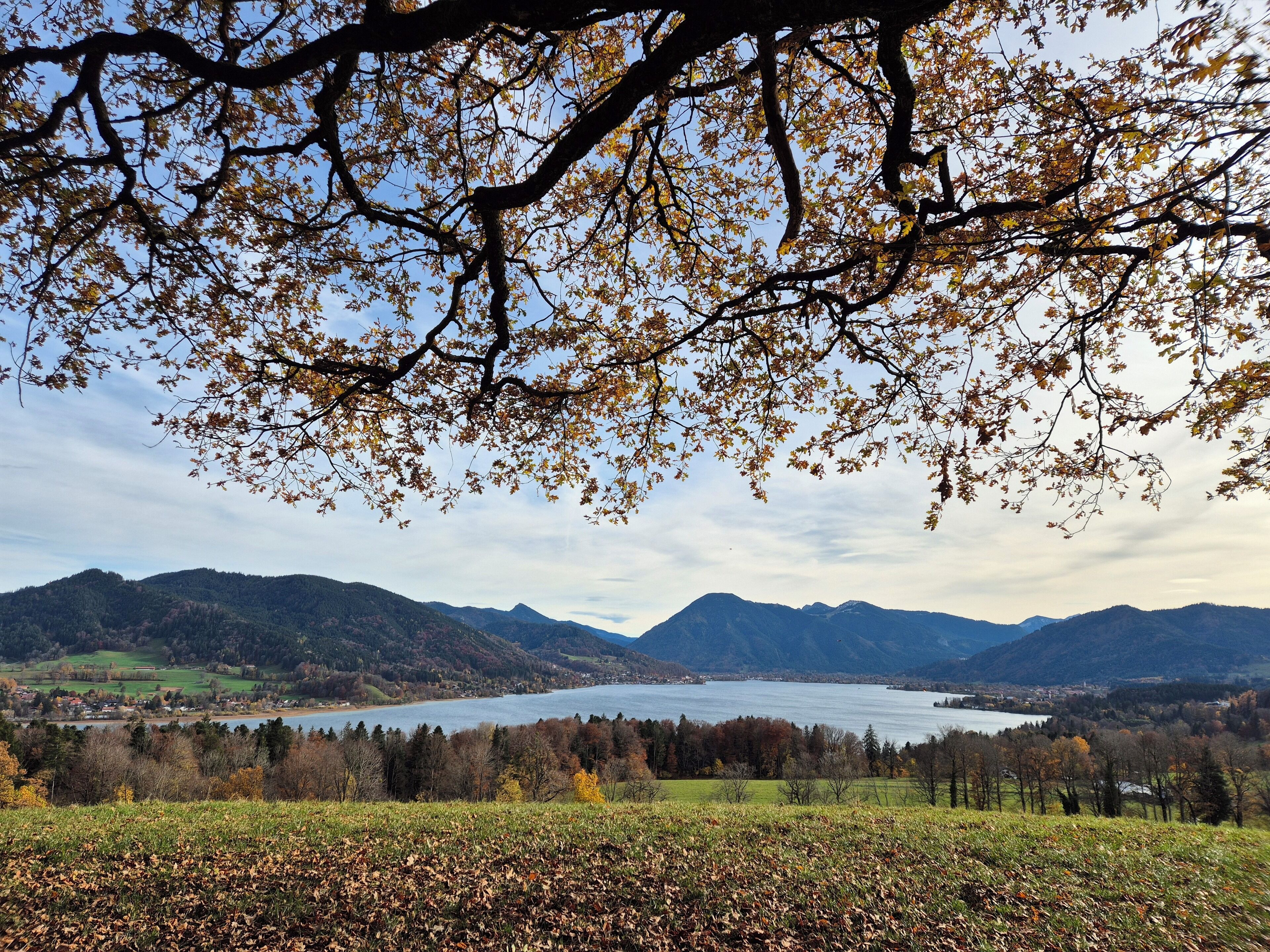 Ein Panoramablick auf einen See, umgeben von Bergen und Herbstlaub.