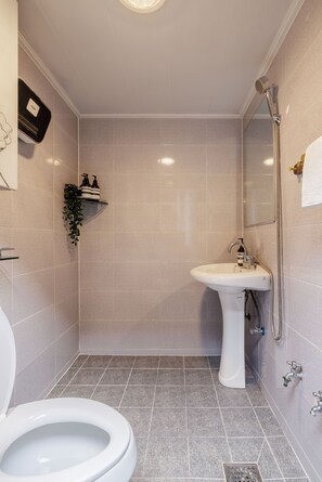 Hair dryer, towels, soap, toilet paper