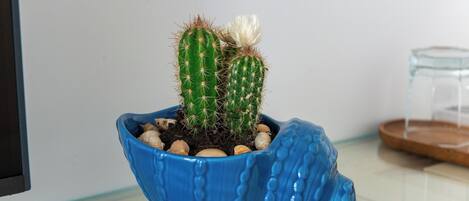 객실