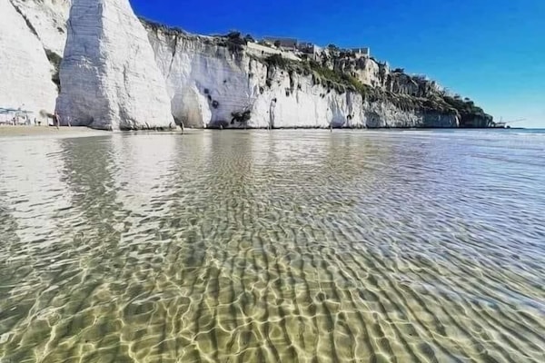 Plage à proximité, sable blanc, chaises longues, parasols