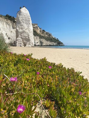 Beach nearby, white sand, sun-loungers, beach umbrellas - Casa Chicchella (Vieste)