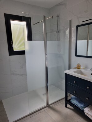 Shower, hair dryer, towels
