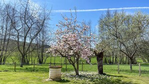 A park with a large stone fountain, blooming trees, and a clear blue sky.