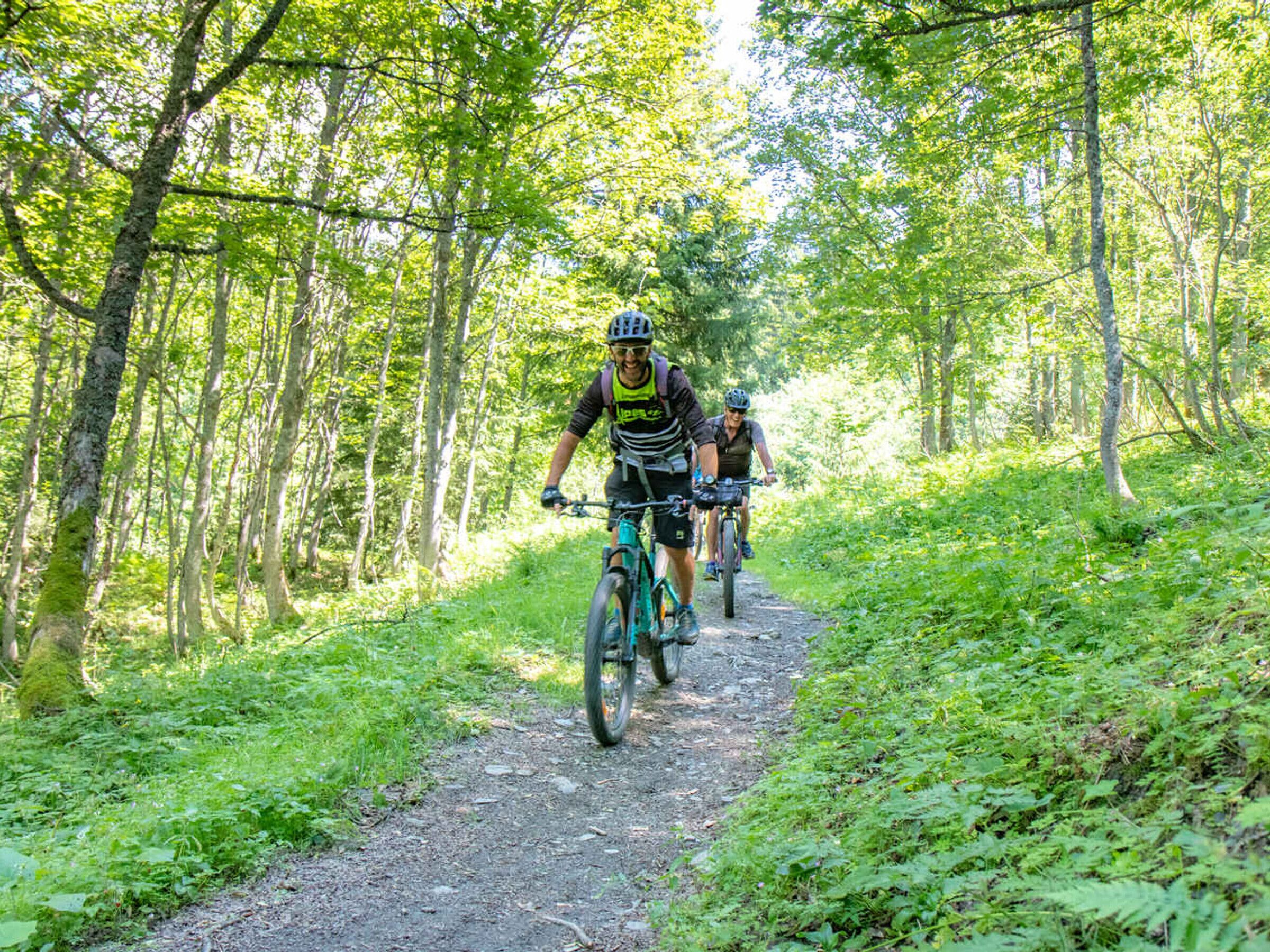 Tres ciclistas en un sendero forestal.