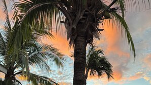 A hotel with a red-tiled roof, palm trees, and vibrant flowers in the foreground. - Casa Rosa del Mar with beautiful views (Playas Del Coco)