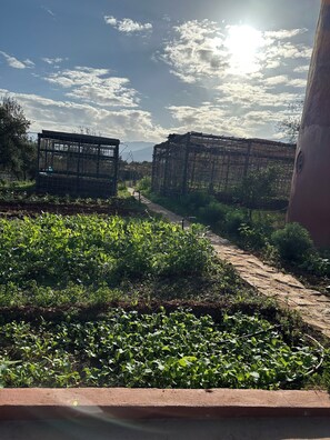 Property grounds - Atlas lodge (Amizmiz)