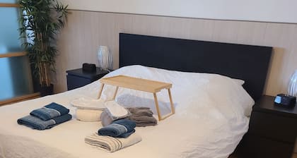 Loft de 130 m2 avec spa et billard au coeur de BREST